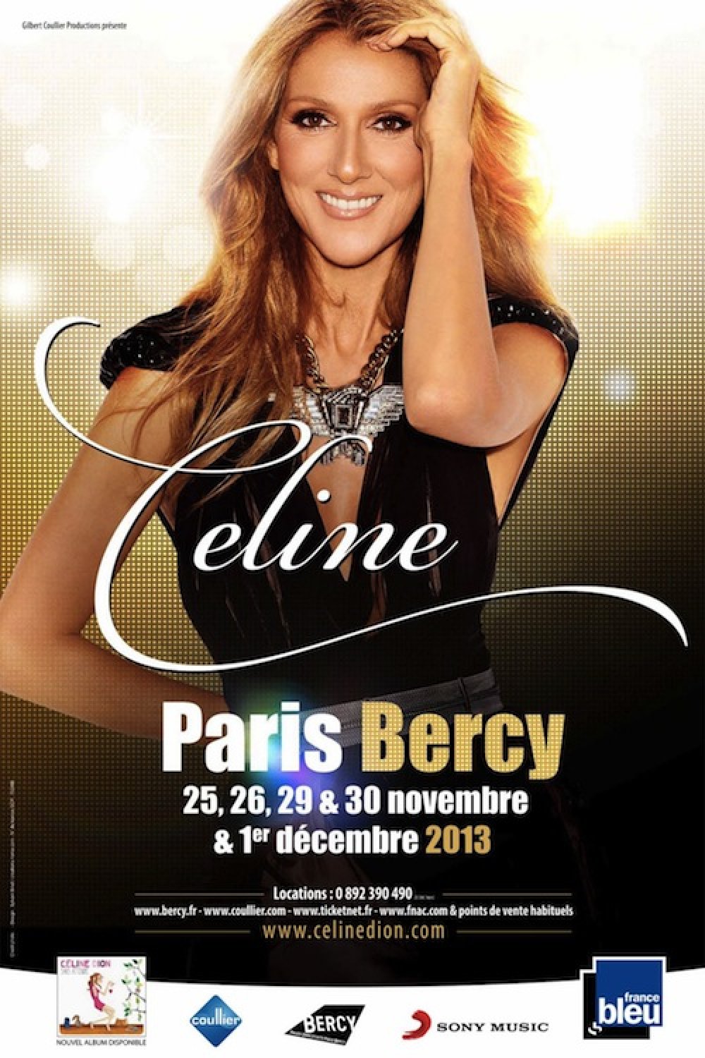 Céline Dion à Bercy (Paris - 2013)