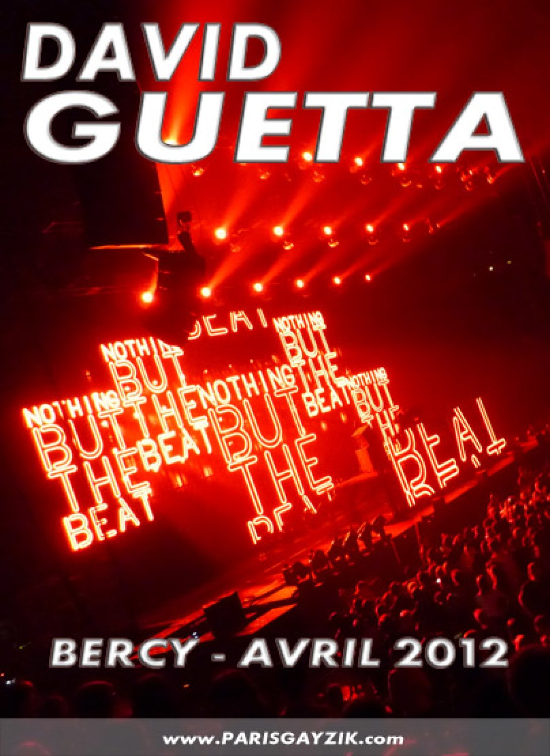 David Guetta à Bercy (Paris - 2012)