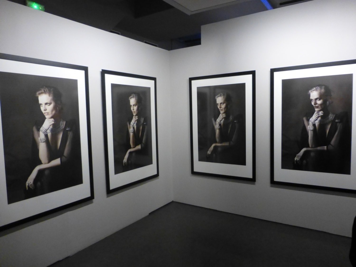 Karl Lagerfeld, A Visual Journey, à la Pinacothèque de Paris