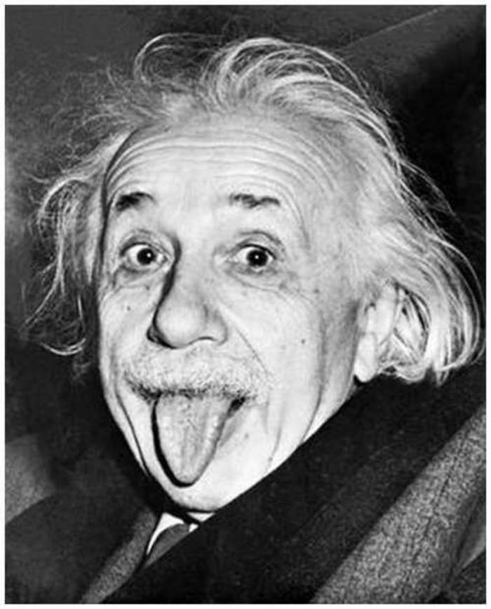 Albert Einstein (photo non présente dans cette exposition)