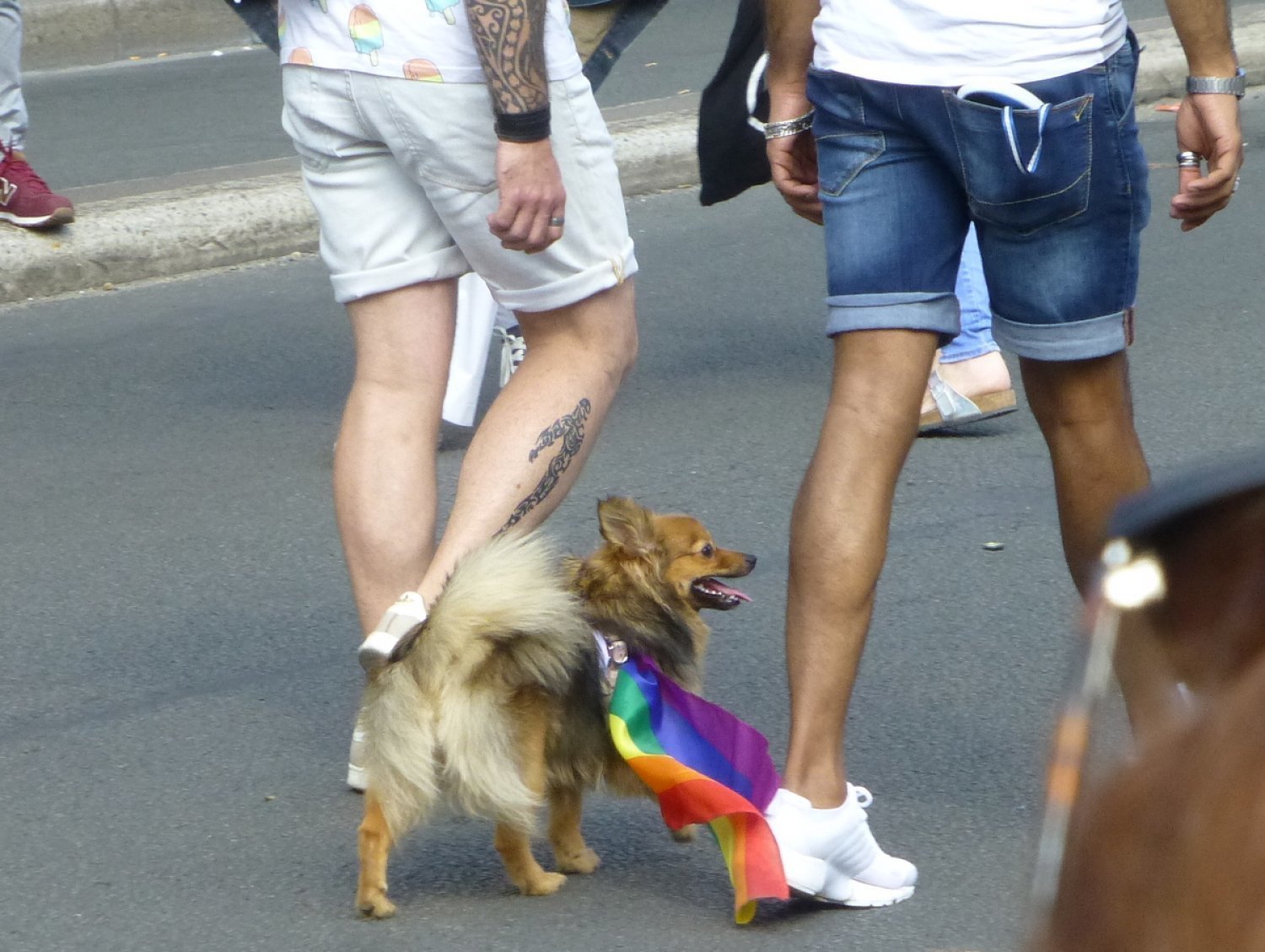 La LGBT Pride à Paris (Marche des Fiertés)