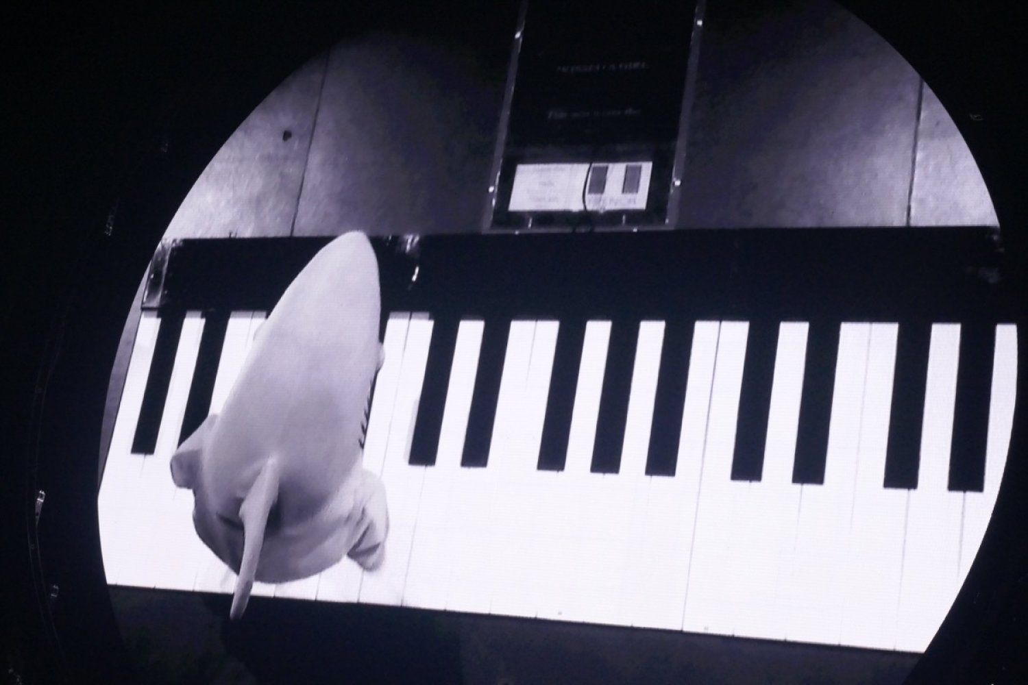 Katy Perry à l'AccorHotels Arena Bercy (Paris - 2018)