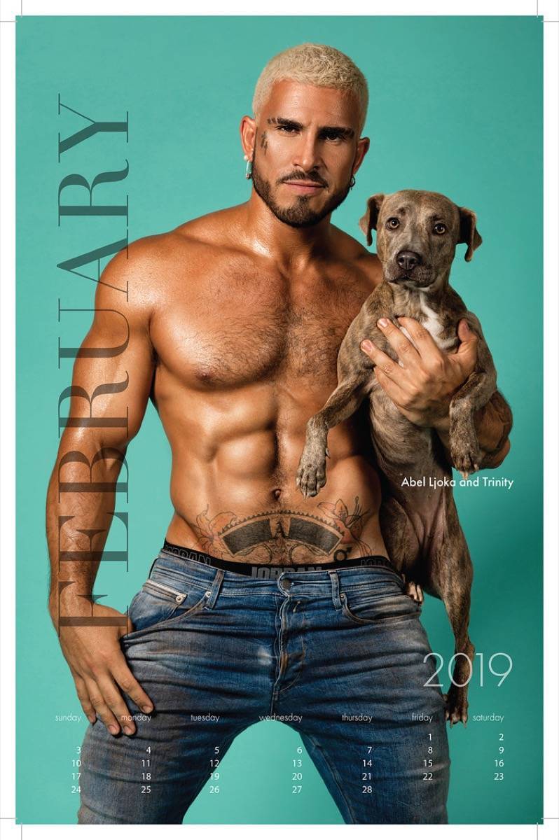 Calendriers masculins 2019