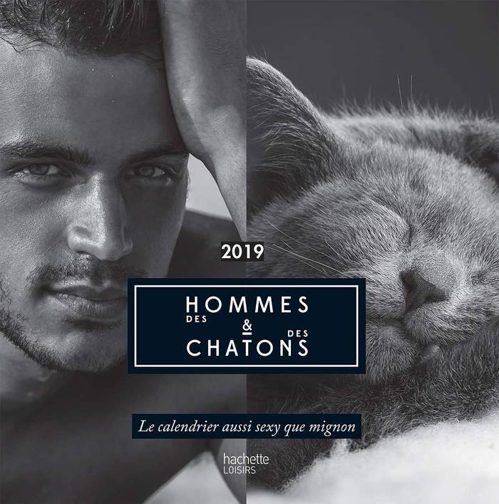 Des hommes et des chatons 2019