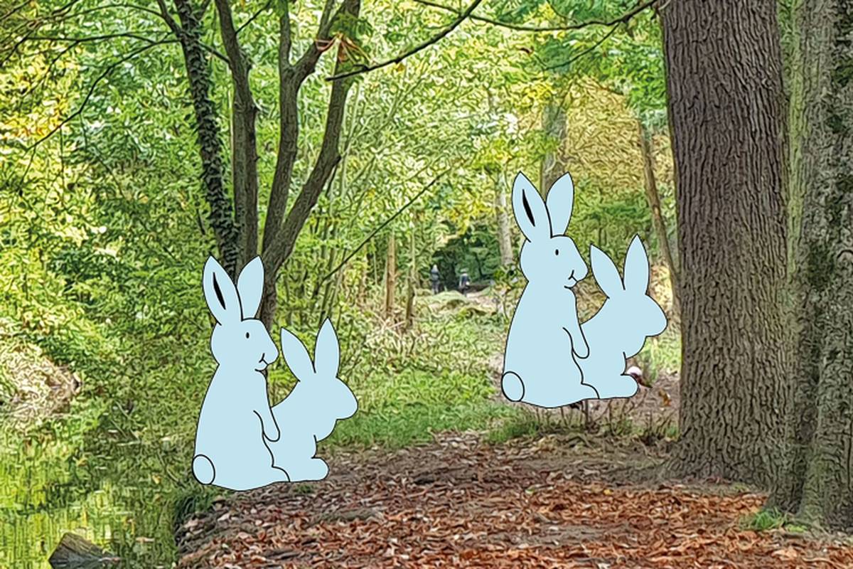 Allée des Lapins dans le Bois de Vincennes