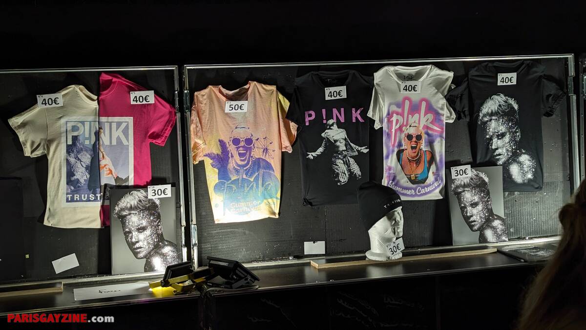 Toutes nos photos du show de Pink à Paris